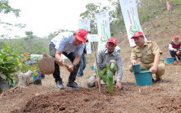 AHM Tanam 17 Jenis Pohon Langka di Lahan Tandus Bandung Barat