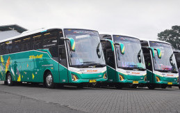 PO Tividi Rilis 3 Unit Bus Pariwisata Baru, Andalkan Sasis Hino RM 280 ABS