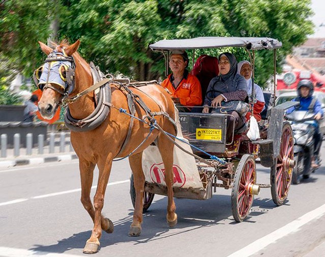 Unik! Grab Luncurkan GrabAndong di Yogyakarta