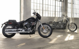 New Harley-Davidson Softail Standard, Bebas Berekspresi