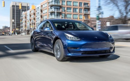 Gara-gara Kabel Digigit Tikus, Pemilik Tesla Harus Rogoh Kocek Puluhan Juta