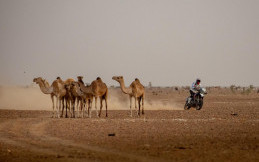 Tempuh 6.000 Km, Aprilia Racing Taklukkan Africa Eco Race 2024