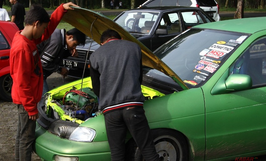 Bahaya, Kiat Agar Hewan Ogah Masuk ke Ruang Mesin Kendaraan
