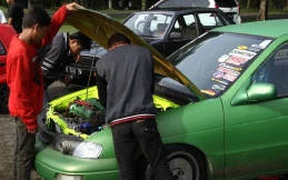 Bahaya, Kiat Agar Hewan Ogah Masuk ke Ruang Mesin Kendaraan
