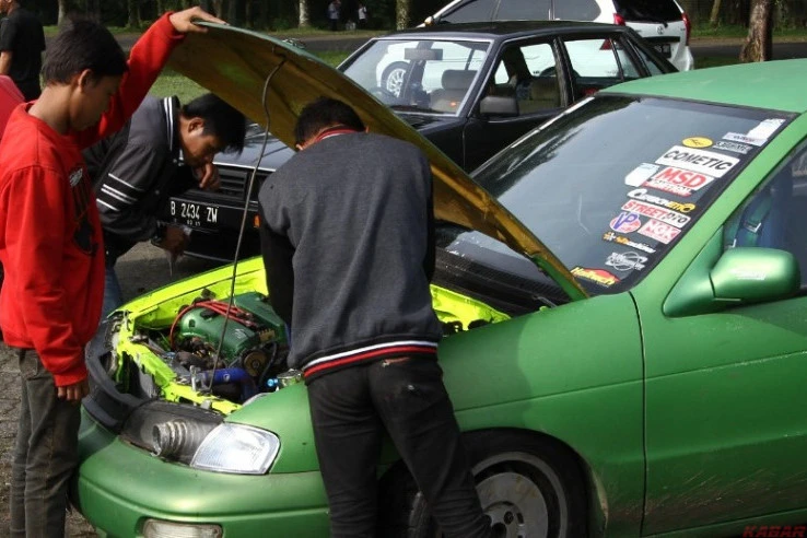 Bahaya, Kiat Agar Hewan Ogah Masuk ke Ruang Mesin Kendaraan