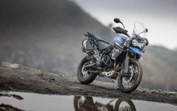 Triumph Luncurkan Tiger XCX 800, Harganya Rp475 Jutaan