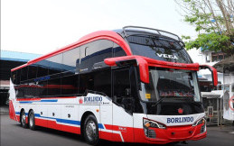 Pakai Sasis Tronton, Sleeper Bus Baru PO Borlindo Tampung Penumpang Lebih Banyak