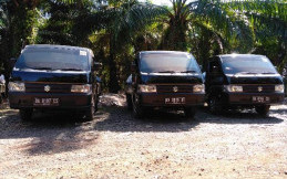 Suzuki New Carry Pick Up Laris Manis di Kalimantan Selatan