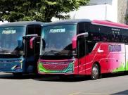 PO Primadona Rilis Duet Bus Skylander F25, Visualnya Candu Banget!