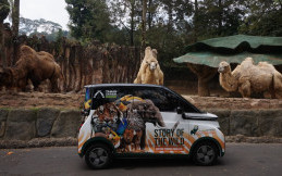 Taman Safari Indonesia Menggelar Lomba Foto Berhadiah Wuling Air ev Long Range