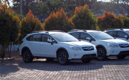 Sikat Nih! Ratusan Mobil Subaru Dilelang Mulai dari Rp61 juta