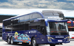 Sleeper Bus PO Borlindo Gunakan Bodi Skylander R22 dan Livery Thailook