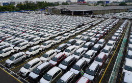 Bentuk Kepedulian Daihatsu Terhadap Spesies Hewan yang Hampir Punah
