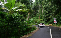 Jadi Alternatif Mudik, Jalur Pansela Jawa Tengah dan Yogyakarta Sudah Tersambung 219 KM