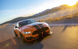 Ford Mustang Shelby 2020 Terbatas Hanya 50 Unit di Dunia, Apa Spesialnya?