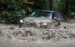 Perbedaan Fitur All New Toyota Land Cruiser, Lebih Mahal Tanpa Power Back Door?