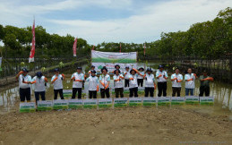 Atasi Efek Abrasi di Brebes, Toyota Indonesia Tanam Mangrove 6 Hektar 