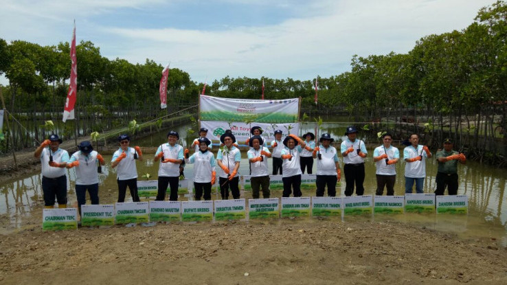 Atasi Efek Abrasi di Brebes, Toyota Indonesia Tanam Mangrove 6 Hektar 