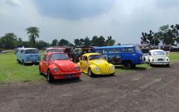 Adu Kebut Mobil-mobil Volkswagen Lawas, Bakal Berlangsung Kembali