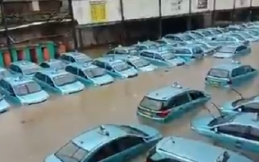Terendam Banjir, Ribuan Taksi Blue Bird Siap Mengaspal Kembali