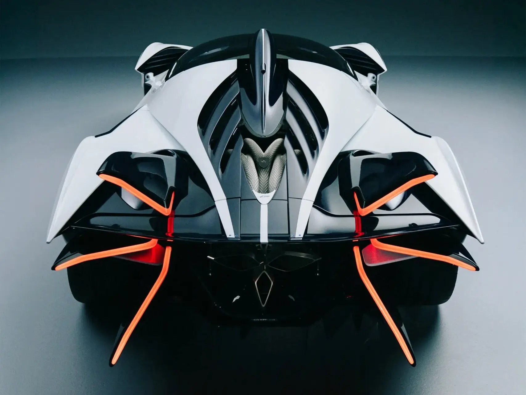 Apollo Evo Caribbean Dragon