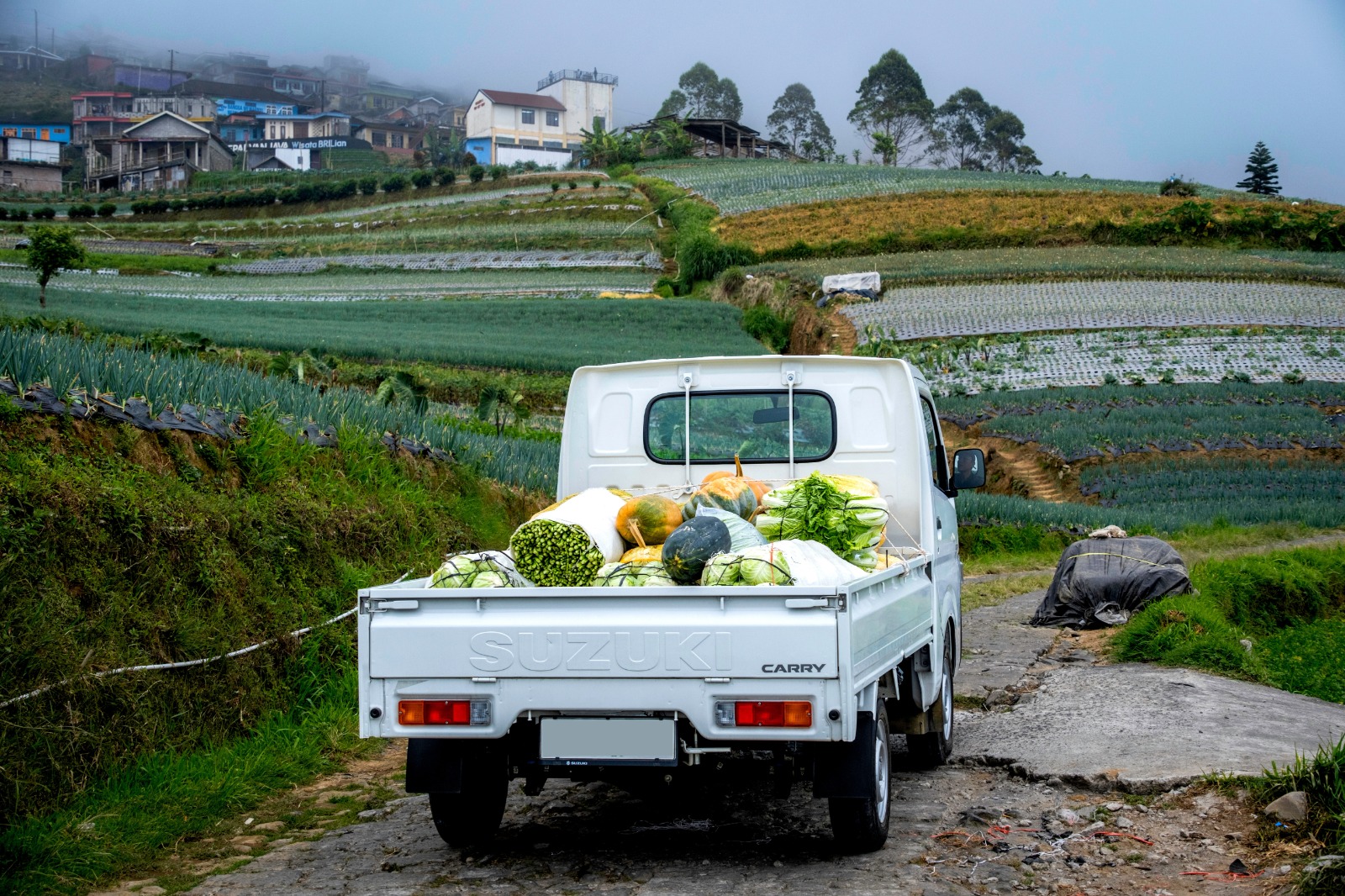Hadir GIICOMVEC 2026, Suzuki New Carry Jadi Ujung Tombak PT SIS