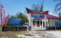 Rindu Pengunjung, Daihatsu Kenalkan Lokasi Konservasi Penyu Binaannya di Media Sosial