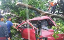 Puting Beliung Terjang Bogor,  6 Kendaraan Ringsek, 1 Korban Tewas