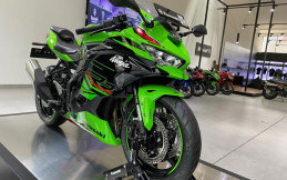 Profil Kawasaki Ninja ZX-4RR